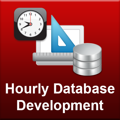 Hourly Database Development Service