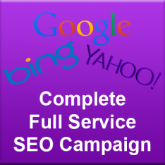 SEO Campaign (down payment)