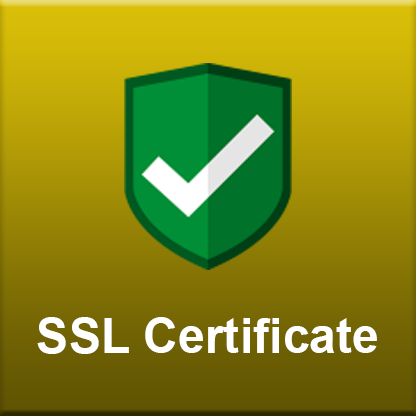 SSL Certificate (annual fee)