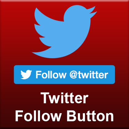 official twitter follow button